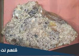 كيف نحصل على العنبر