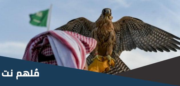 أين يعيش الصقر في السعودية