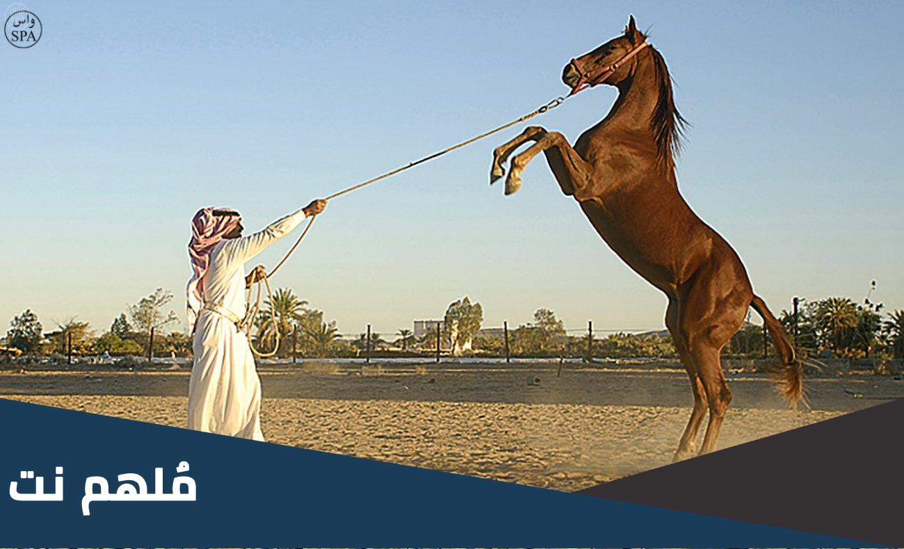 أول من روض الخيل فطحل