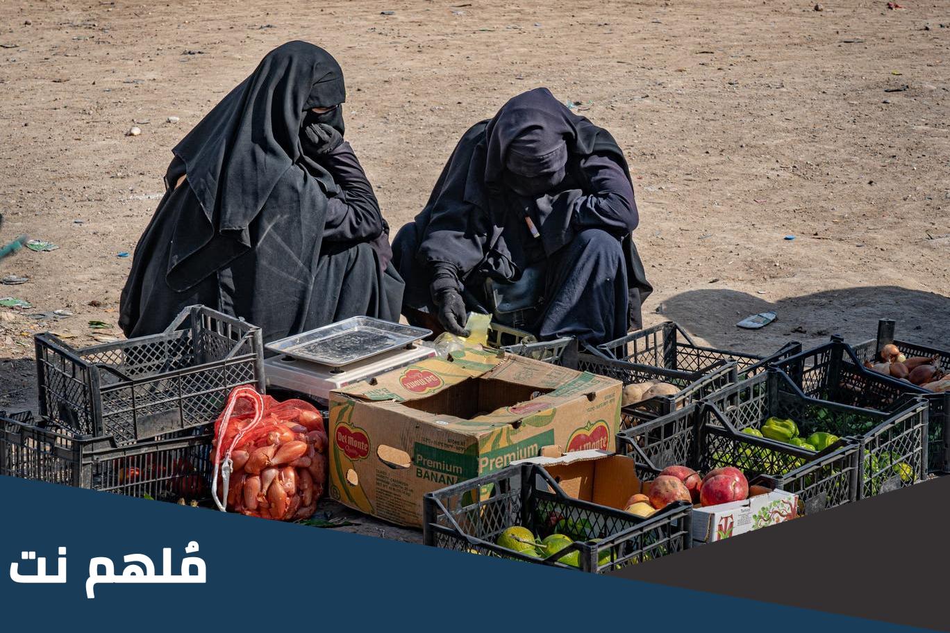 اين يقع مخيم الهول