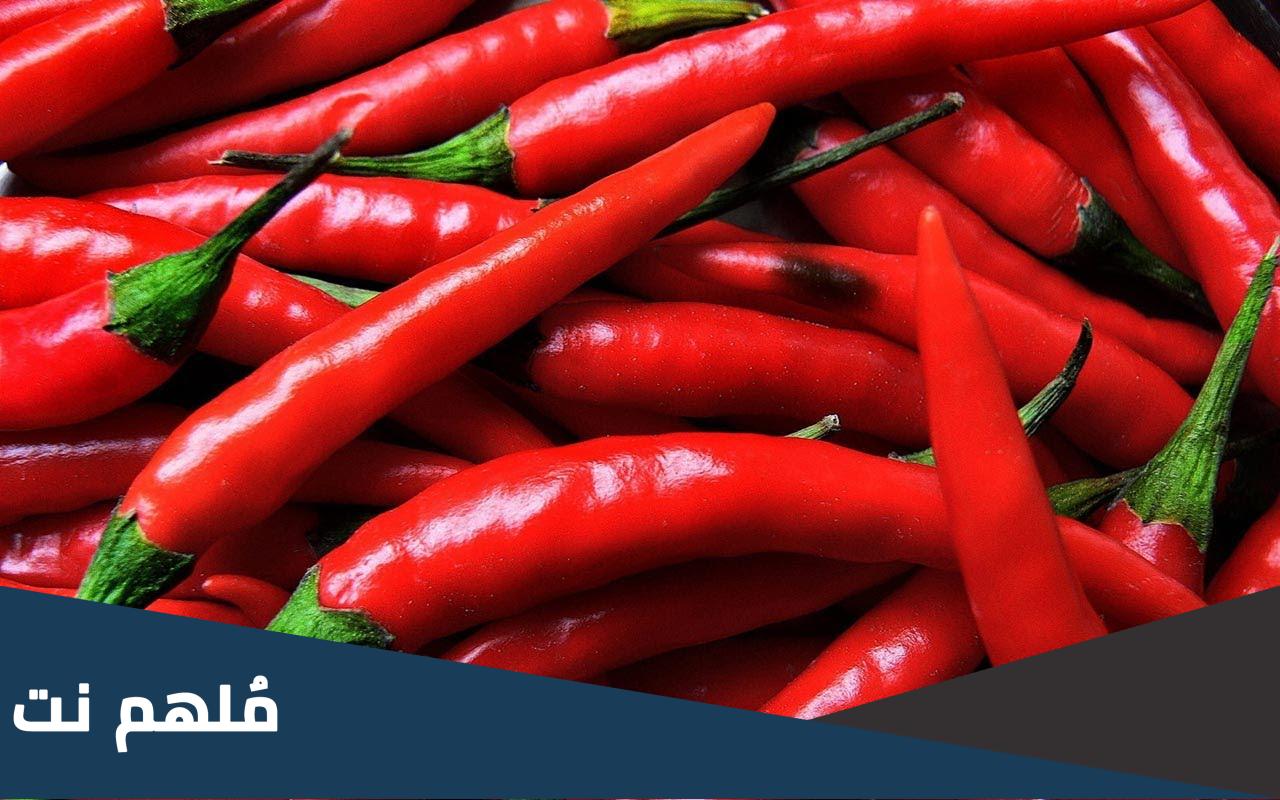 شيء اذا وضعناه في الثلاجة لا يبرد بل يذوب