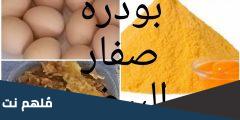 طريقة استخدام صفار البيض البودره