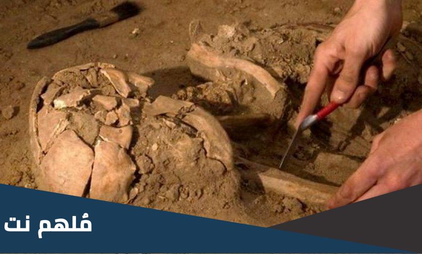 عين الحنش اين تقع