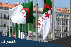 كم عدد بلديات الجزائر