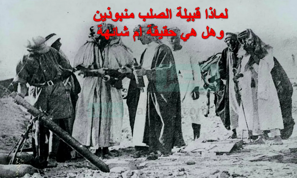 لماذا القبائل لاتزوج الصلب