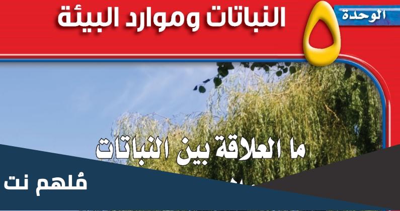 ما هي العلاقة بين النباتات والصيدلة