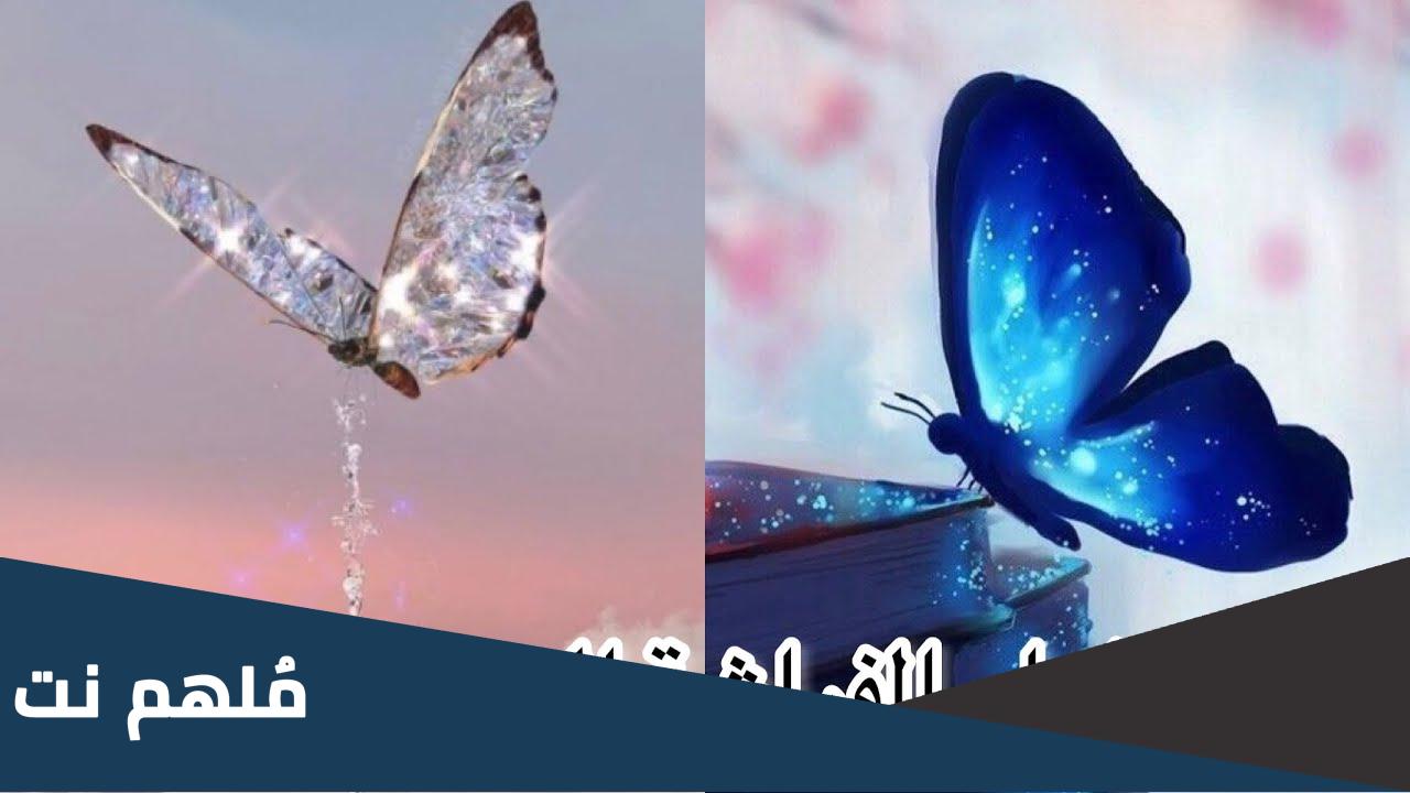 ما هي الفراشة السحرية