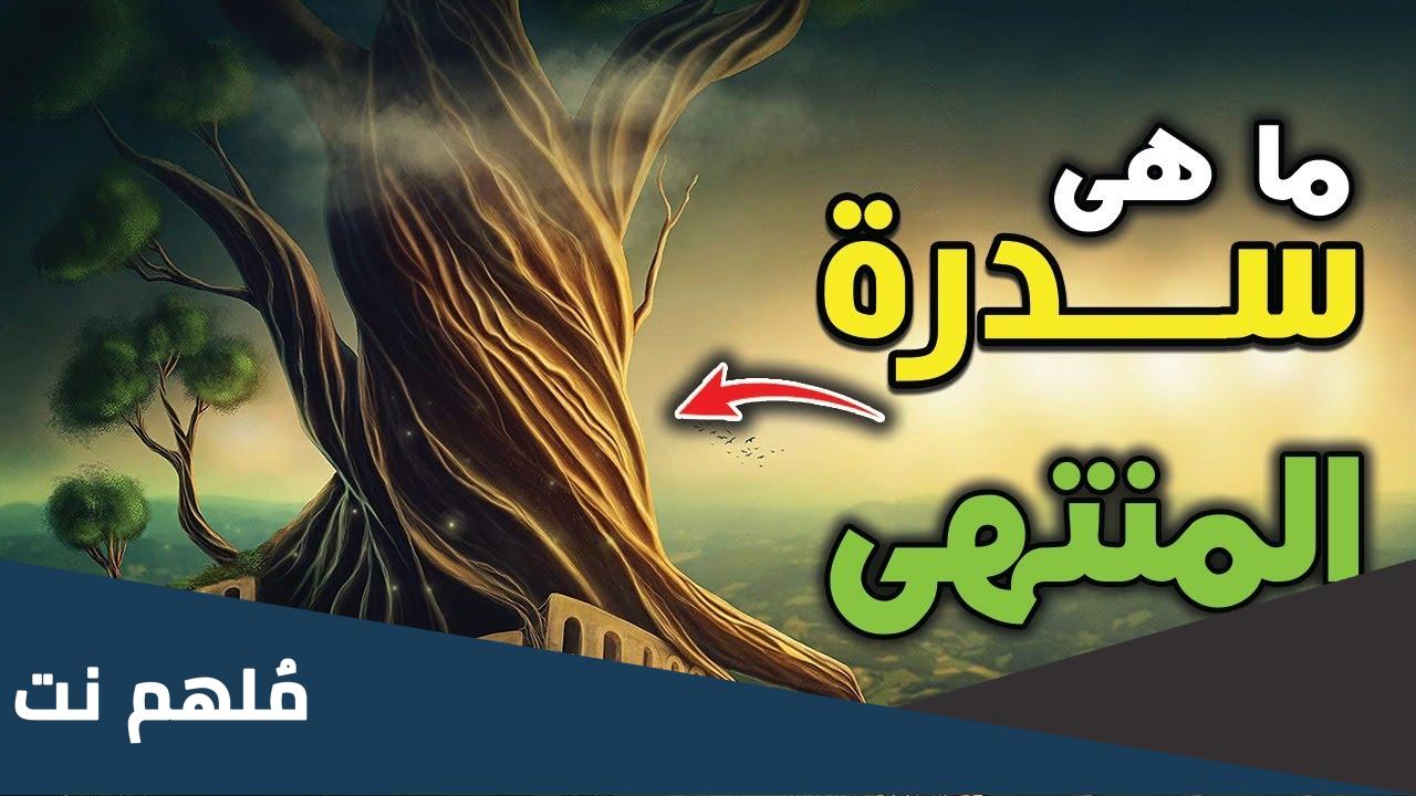 ما هي سدرة المنتهى عند الشيعة