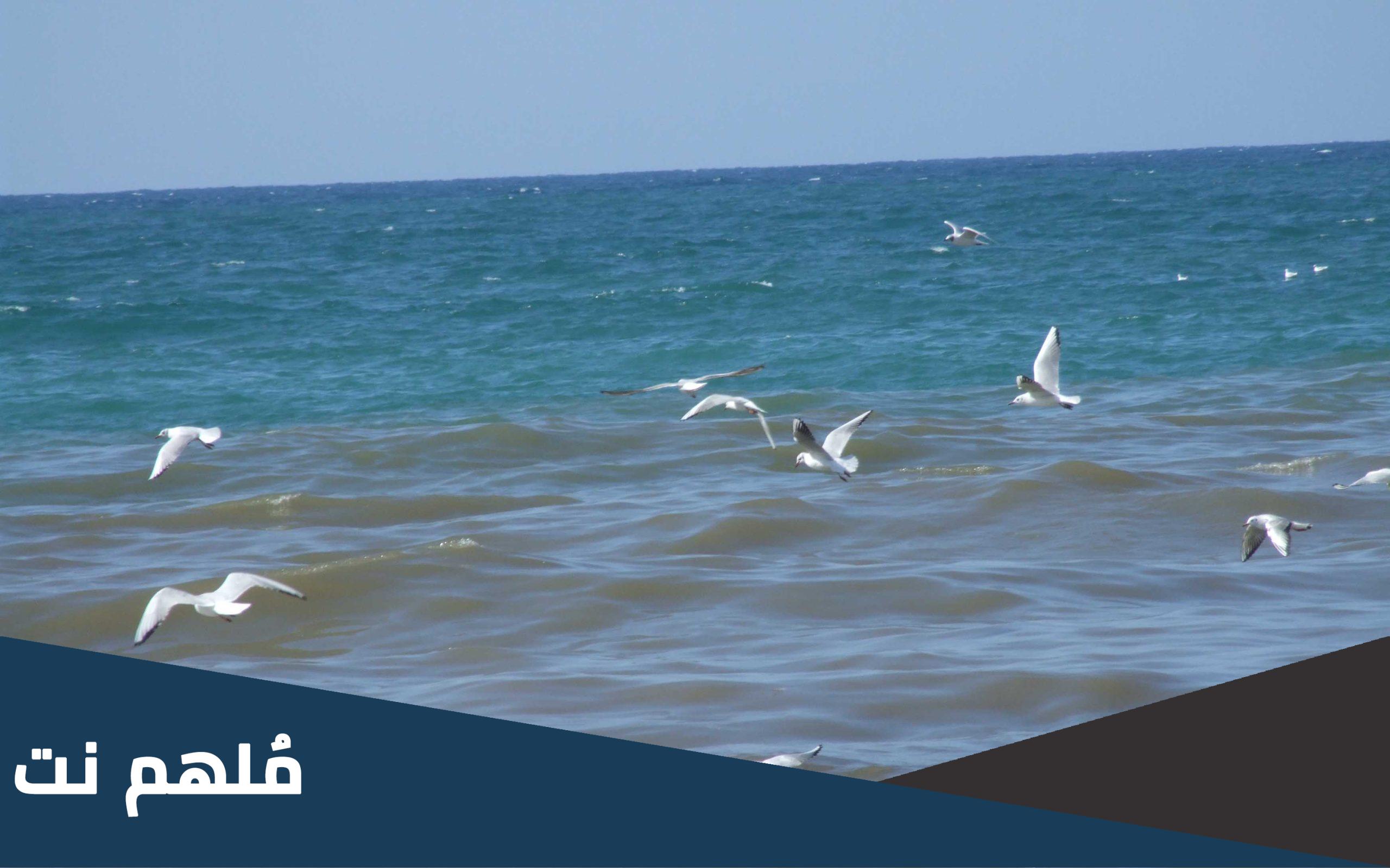 ماذا يسمى البحر الذي يفصل بين تركيا واليونان