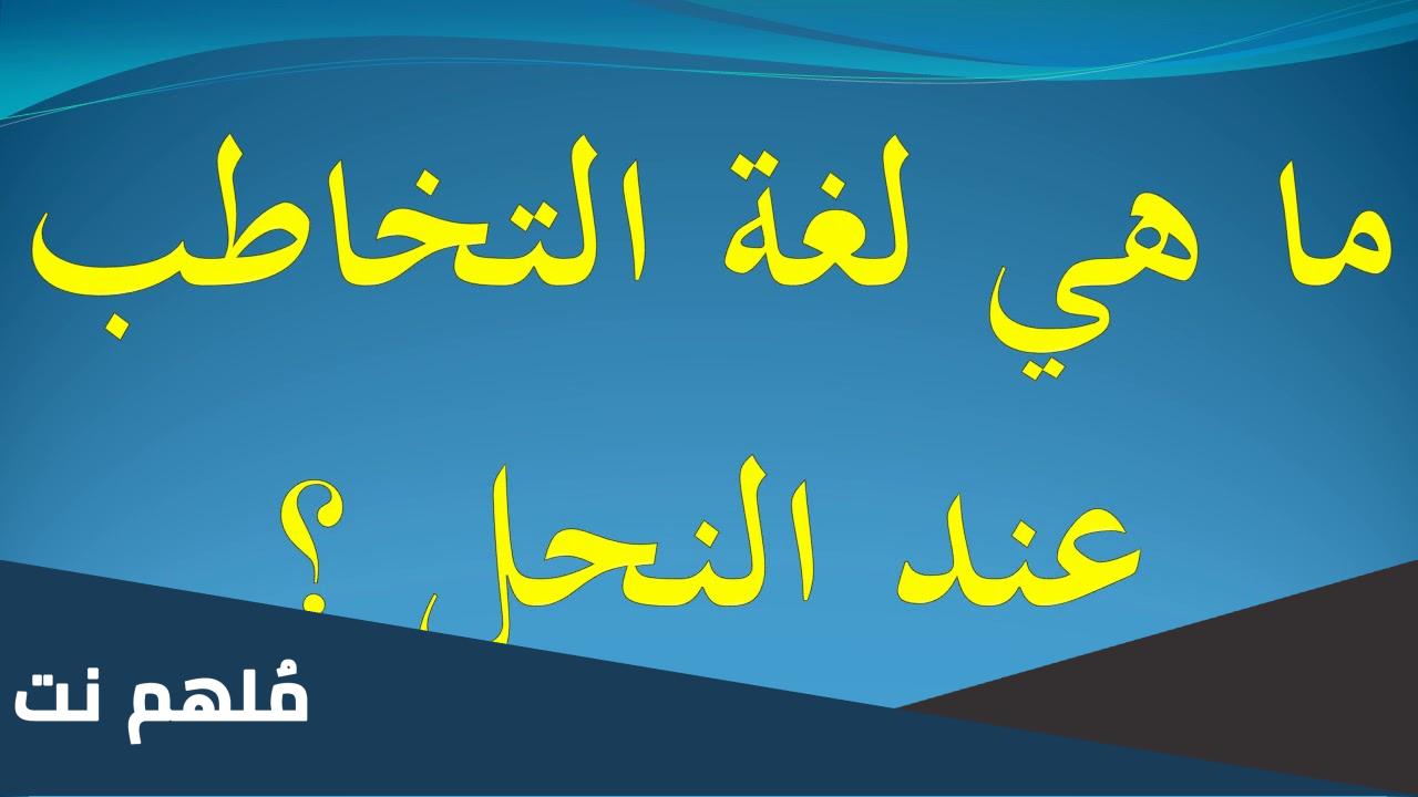 ماهي اللغة التي يتخاطب بها النحل