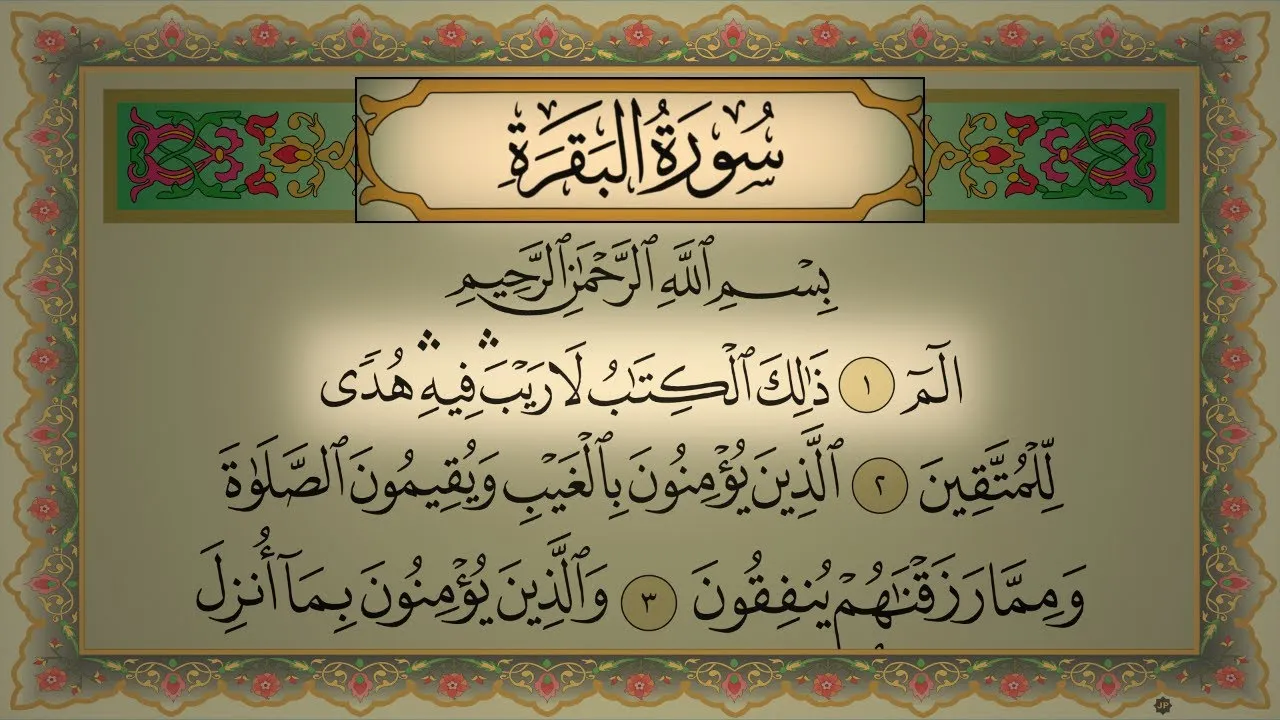 معنى كلمة فارض في سورة البقرة