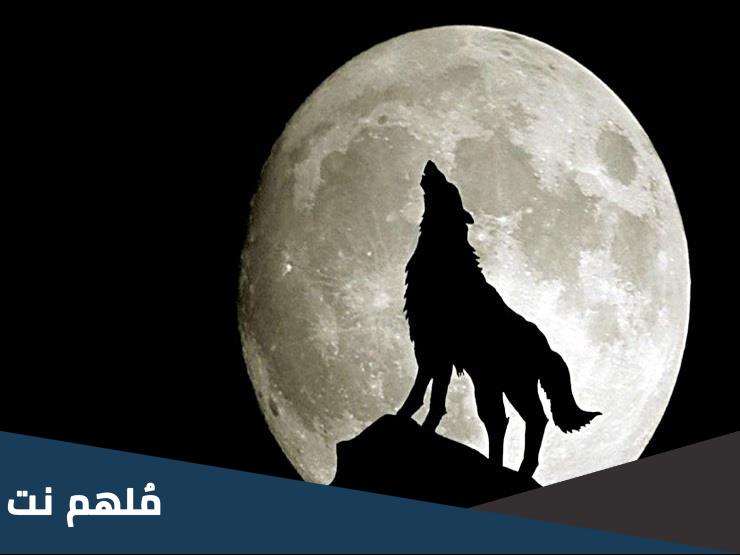 من هو الصحابي الذي كلمه الذئب