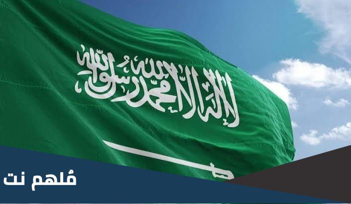 هوية يوم العلم السعودي pdf