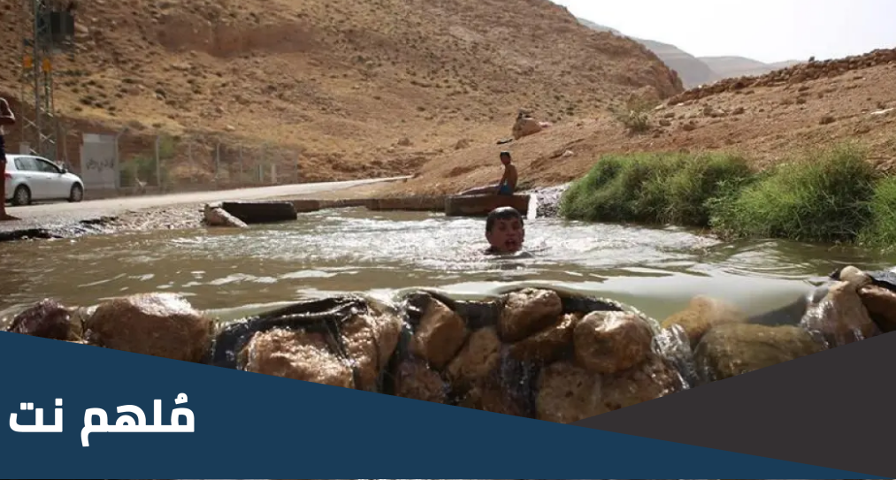 كم عدد المحميات في اليمن