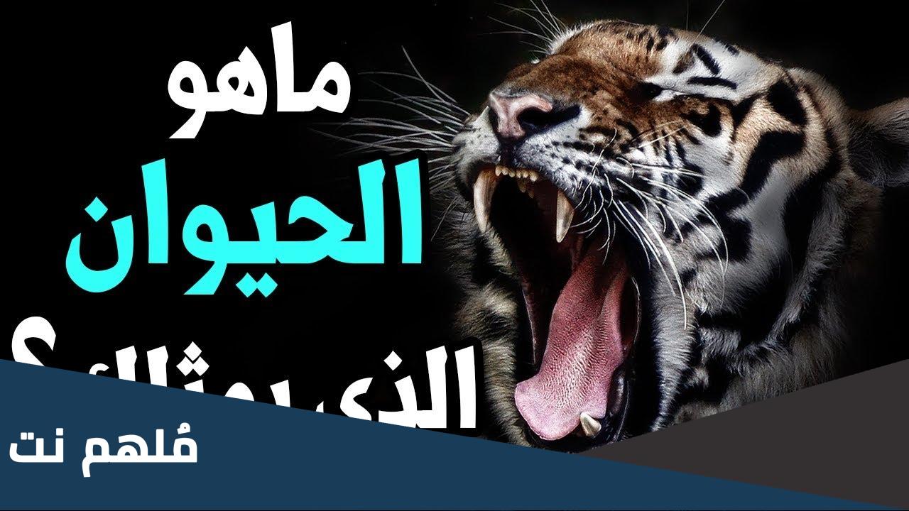 اختبار ما هو الحيوان الذي يمثل شخصيتك