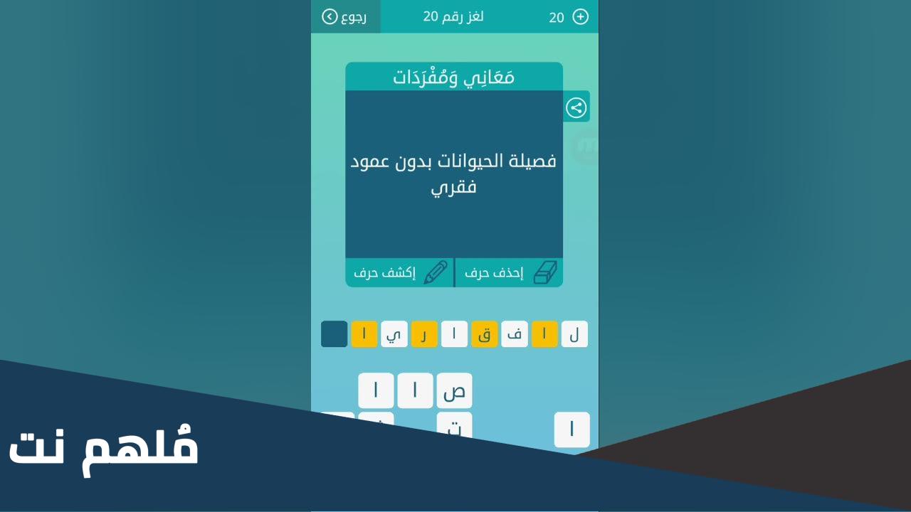 فصيلة الحيوانات بدون عمود فقري