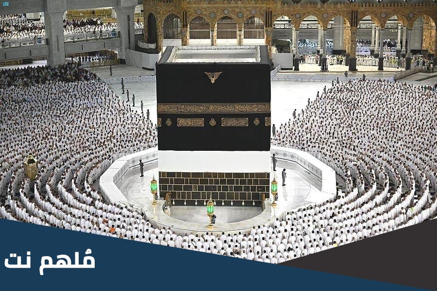كم عدد المعتمرين اليوم