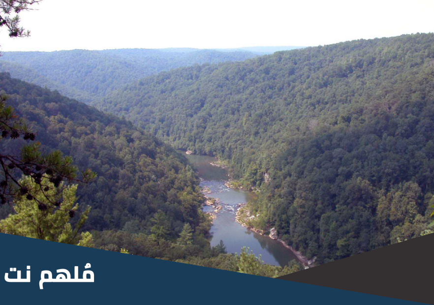 لماذا تكثر الغابات بالشمال التونسي