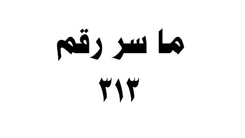 ما معنى رقم 313