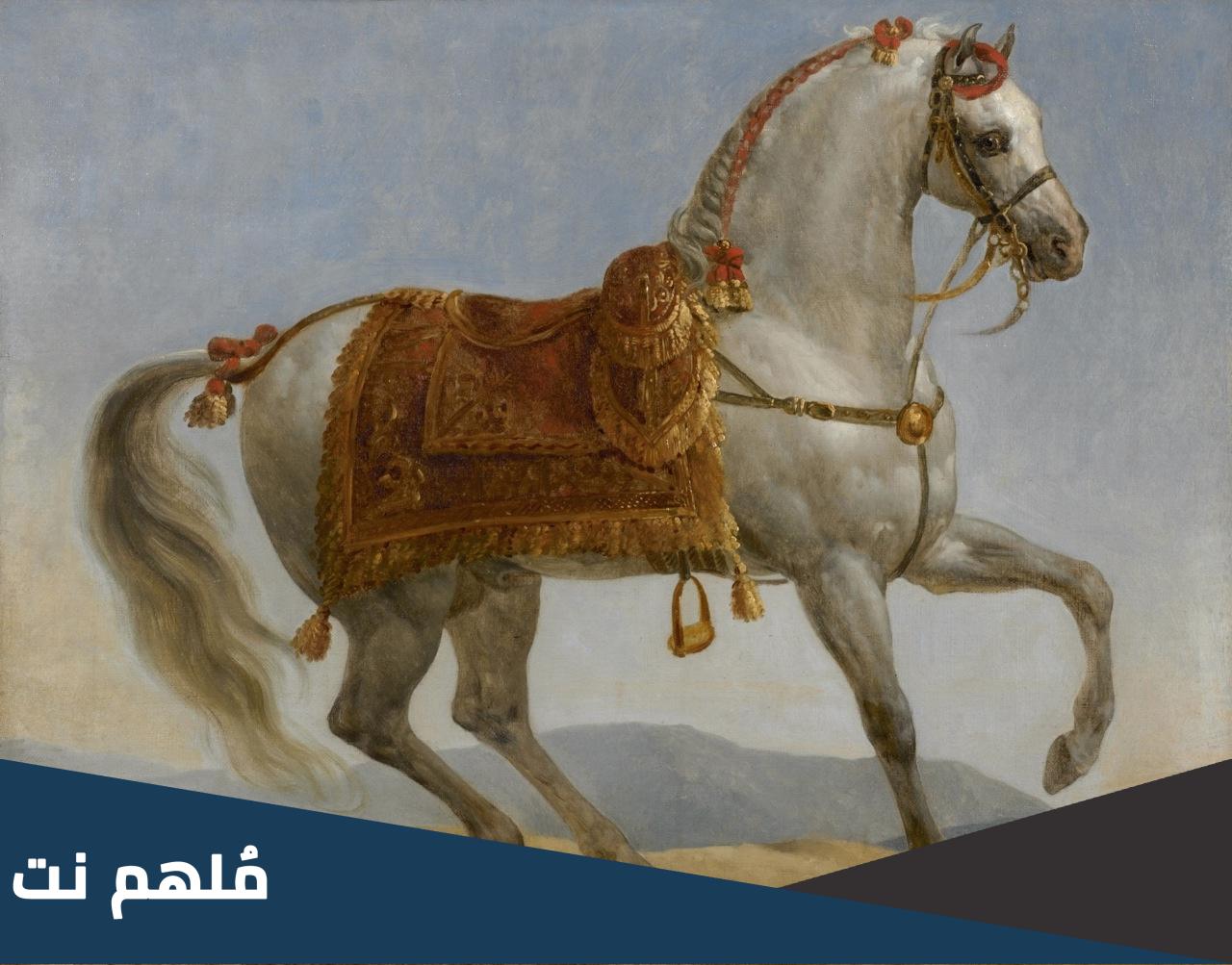 ما هو اشهر حصان في التاريخ