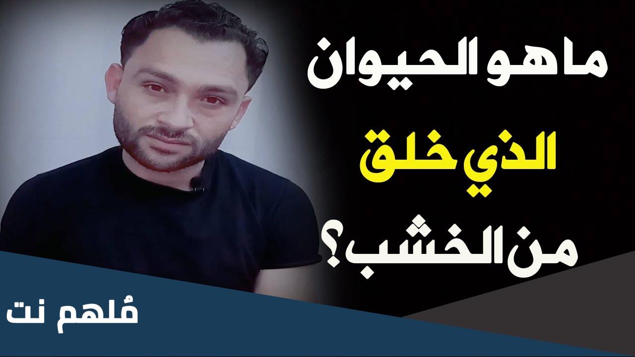 ما هو الشي الذي خلق من خشب
