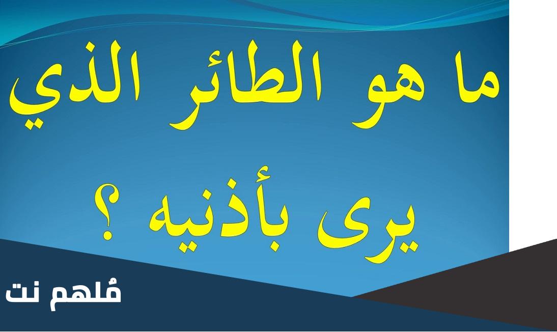 ما هو الطائر الذي يرى باذنيه