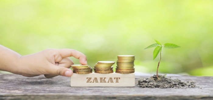 ما هو مقدار زكاة الثمار والزرع في حالة الري دون كلفة