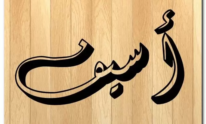 معنى كلمه اسيف