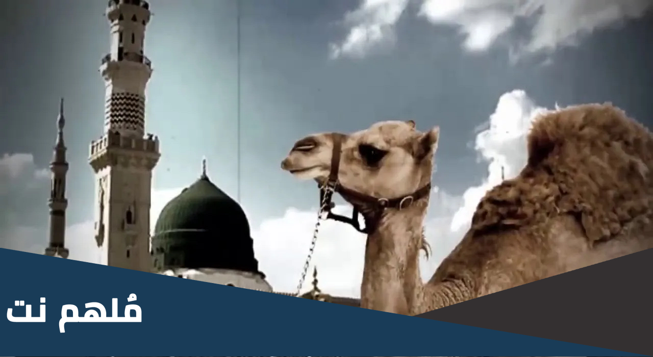 من هو الحيوان الذي اشتكى للنبي سوء معاملة صاحبه