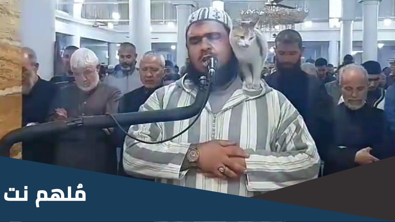 من هو الشيخ وليد مهساس الذي تسللت عليه القطة