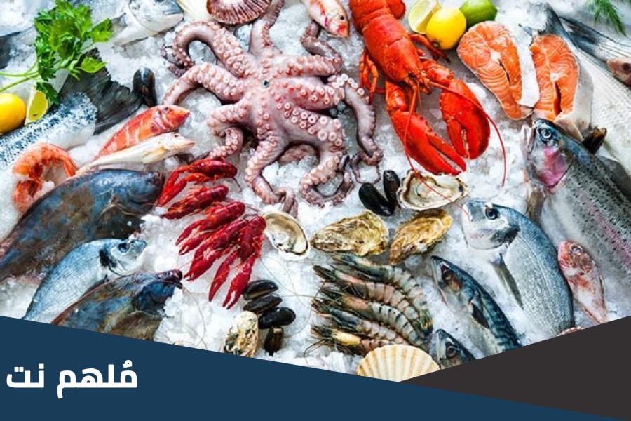 أفضل مطعم سمك في الإسكندرية على البحر