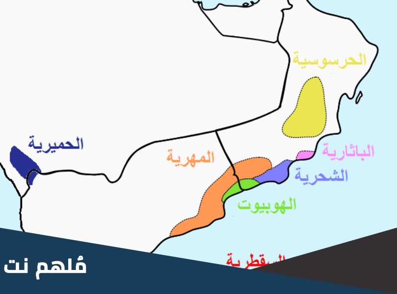 أين تقع جدة الحراسيس في الخريطة