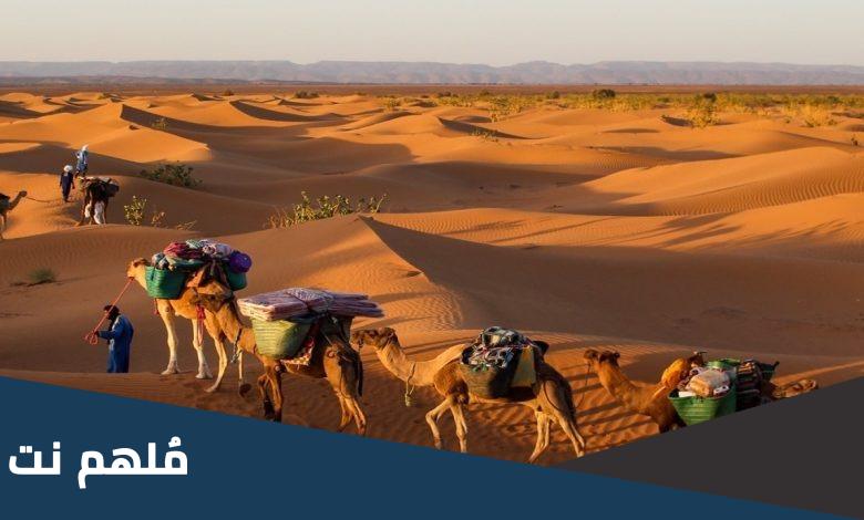 اصل الديحاني وش يرجع