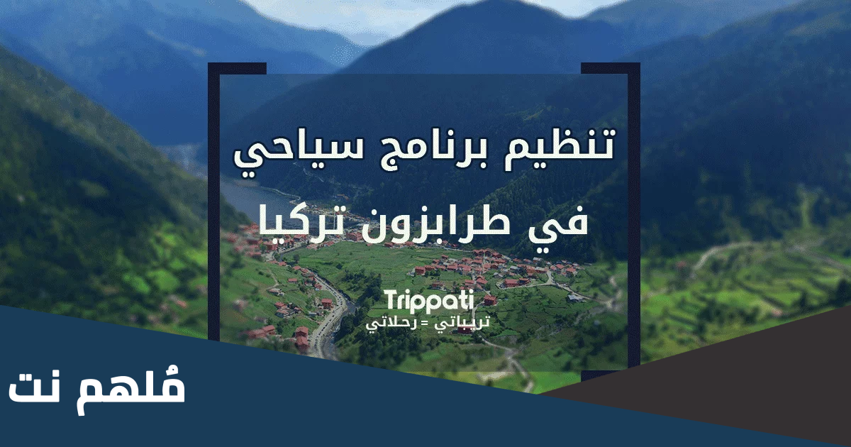 افضل عرض سياحي اقتصادي في طرابزون