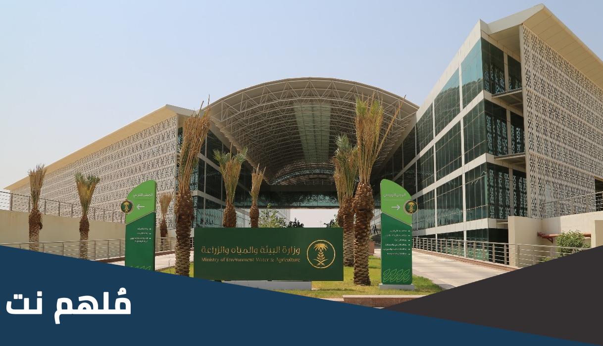 اكتب نصا عن الجهود التي تبذلها وزارة البيئة والمياه والزراعة