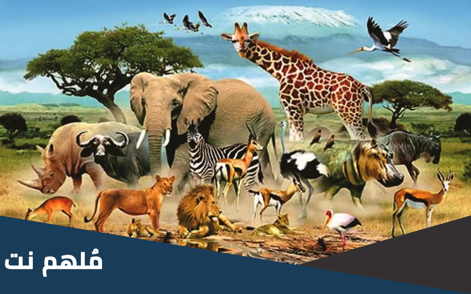الحيوانات المفترسة في الغابة