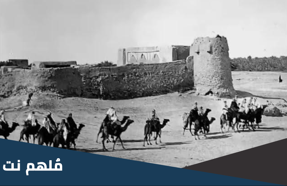 الدلوم من اي فخذ اصلهم