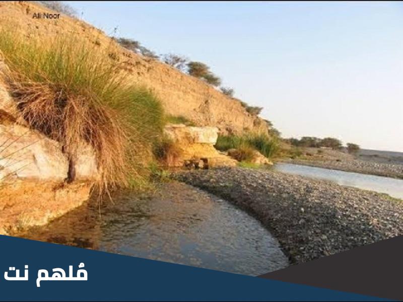 اين يقع غدير خم