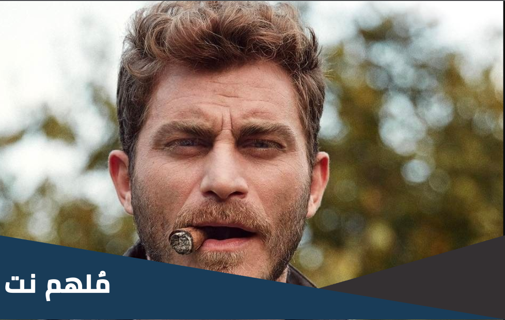 شاغري شنسوي ويكيبيديا