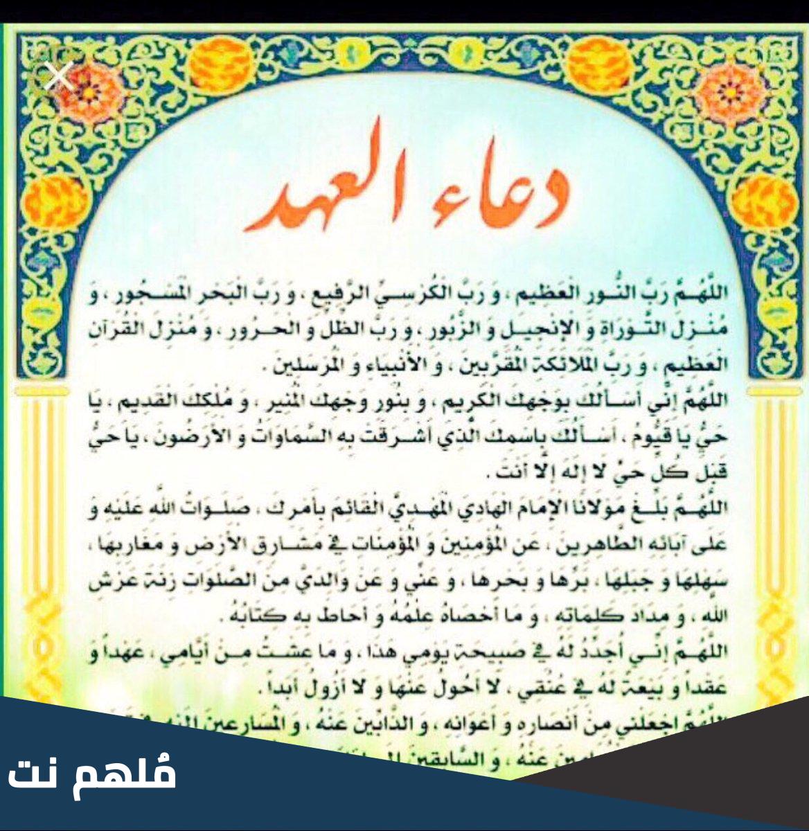 عن اي امام روي دعاء العهد