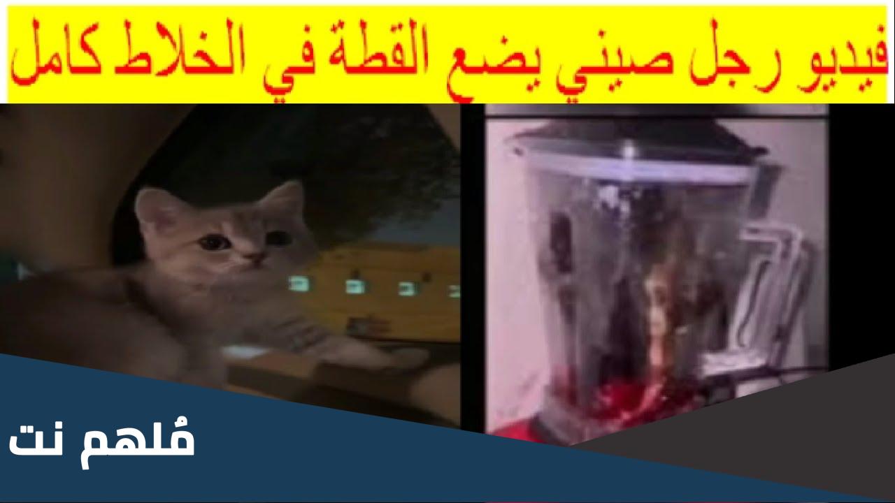 فيديو بسه في الخلاط الاصلي