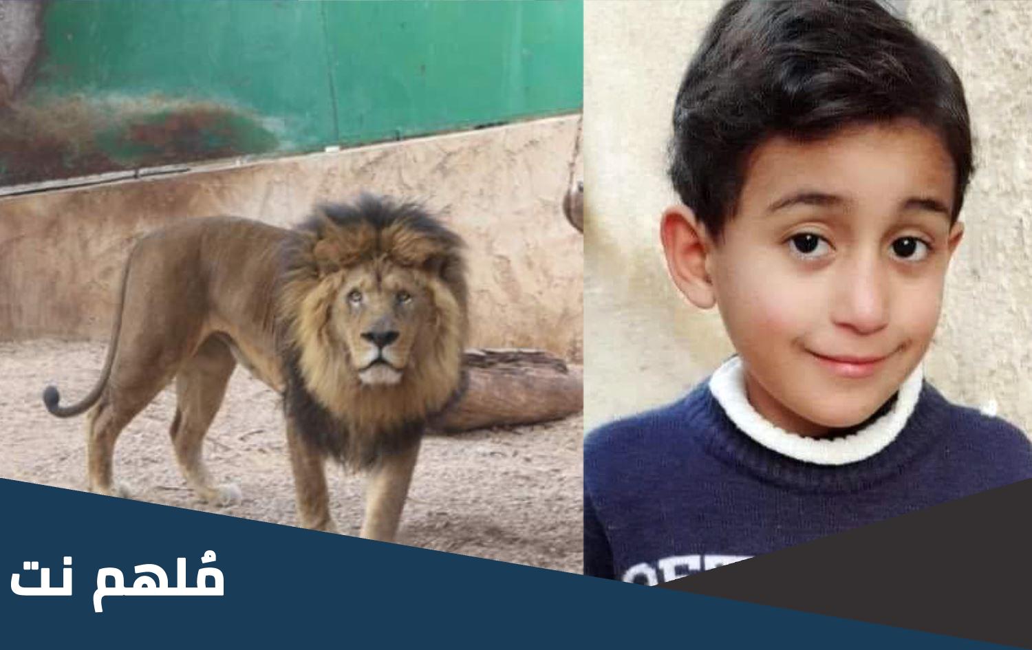 فيديو وفاة طفل عضه الاسد في غزة