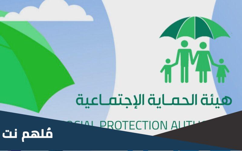 كيف ابحث في منصة مظلتي