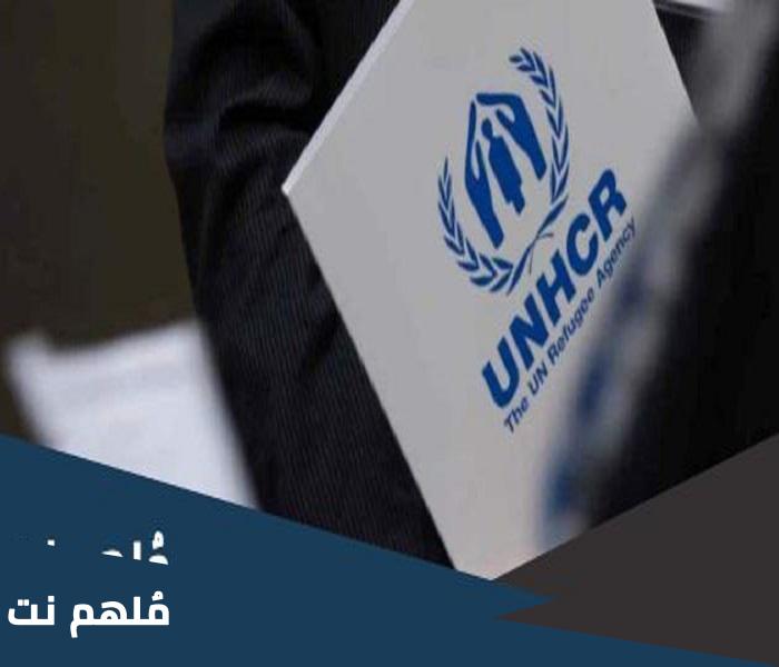 كيف اعرف وضع ملفي في الأمم المتحدة بالتفصيل