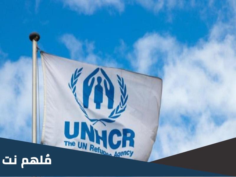 كيف اعرف وضع ملفي في الامم المتحدة 2023 لبنان