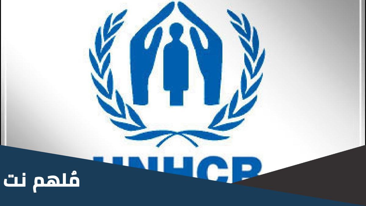 كيفية معرفة حالة الملف un في لبنان