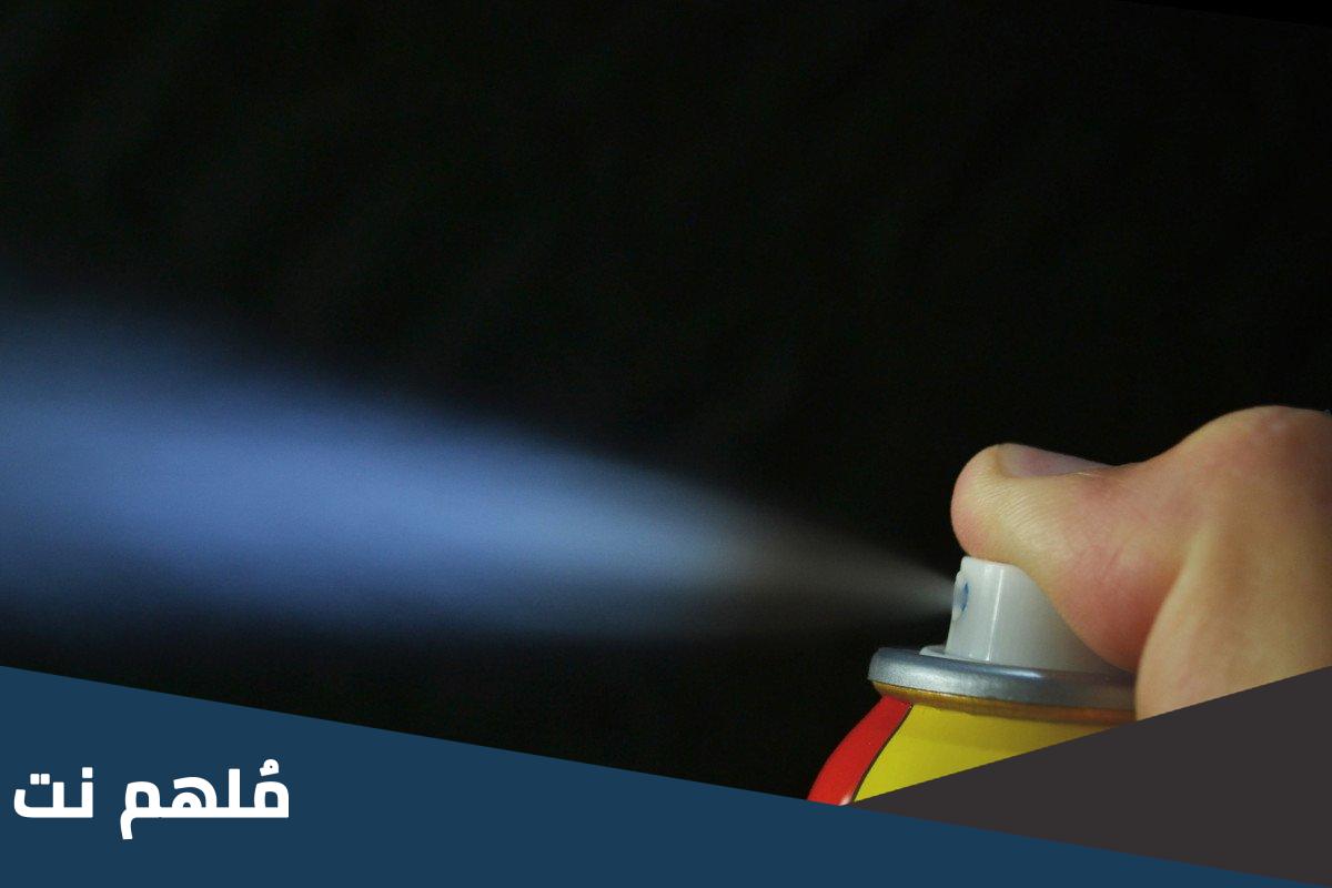 ما المبيد الذي يقضي على البق