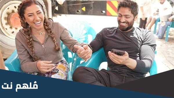 ما علاقة دينا الشربيني وتامر حسني
