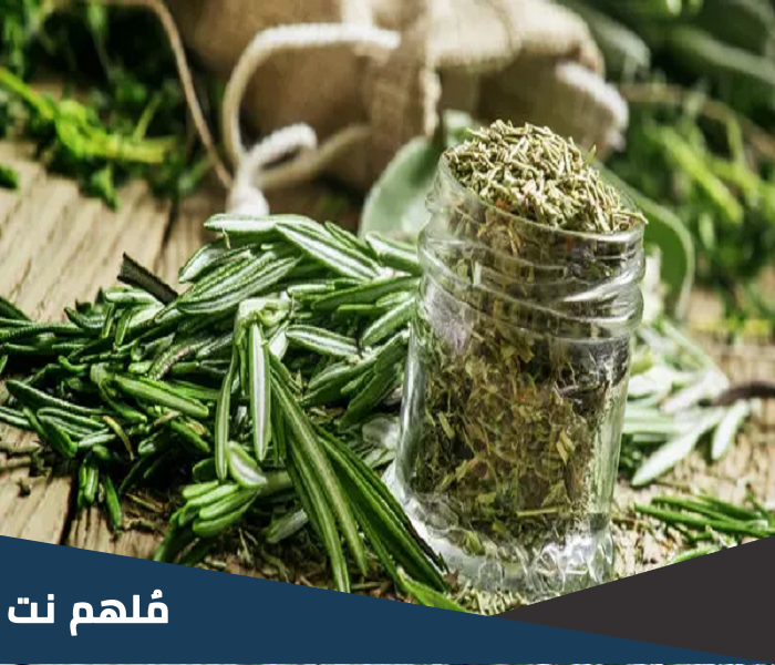 ما هو إكليل الجبل بالمصرى