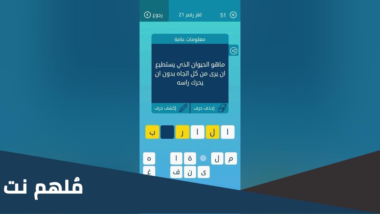 ما هو الحيوان الذي يستطيع ان يرى من كل اتجاه بدون ان يحرك راسه
